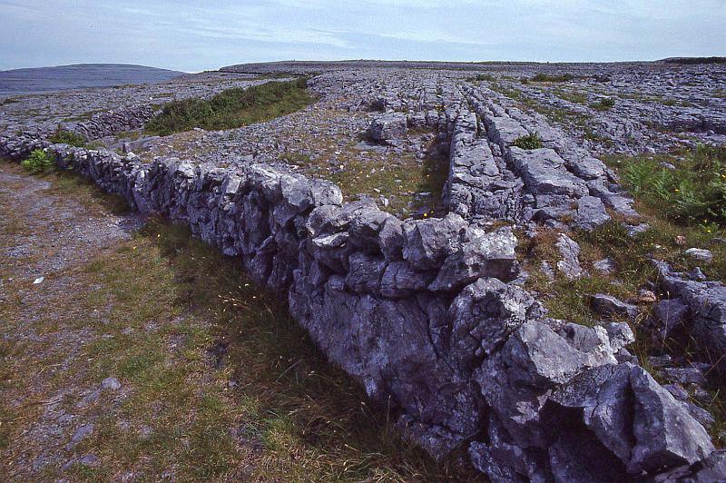 WT 2900 342-31 Ireland The Burrin.jpg